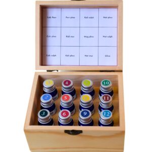 Schuessler's Biochemic Tissue Salts Set  - 12 x 10ml